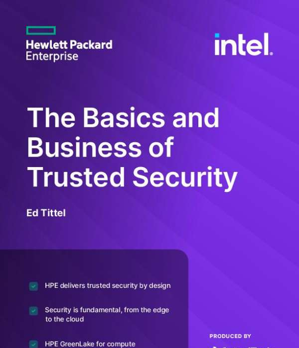 The Basics and Business of Trusted Security